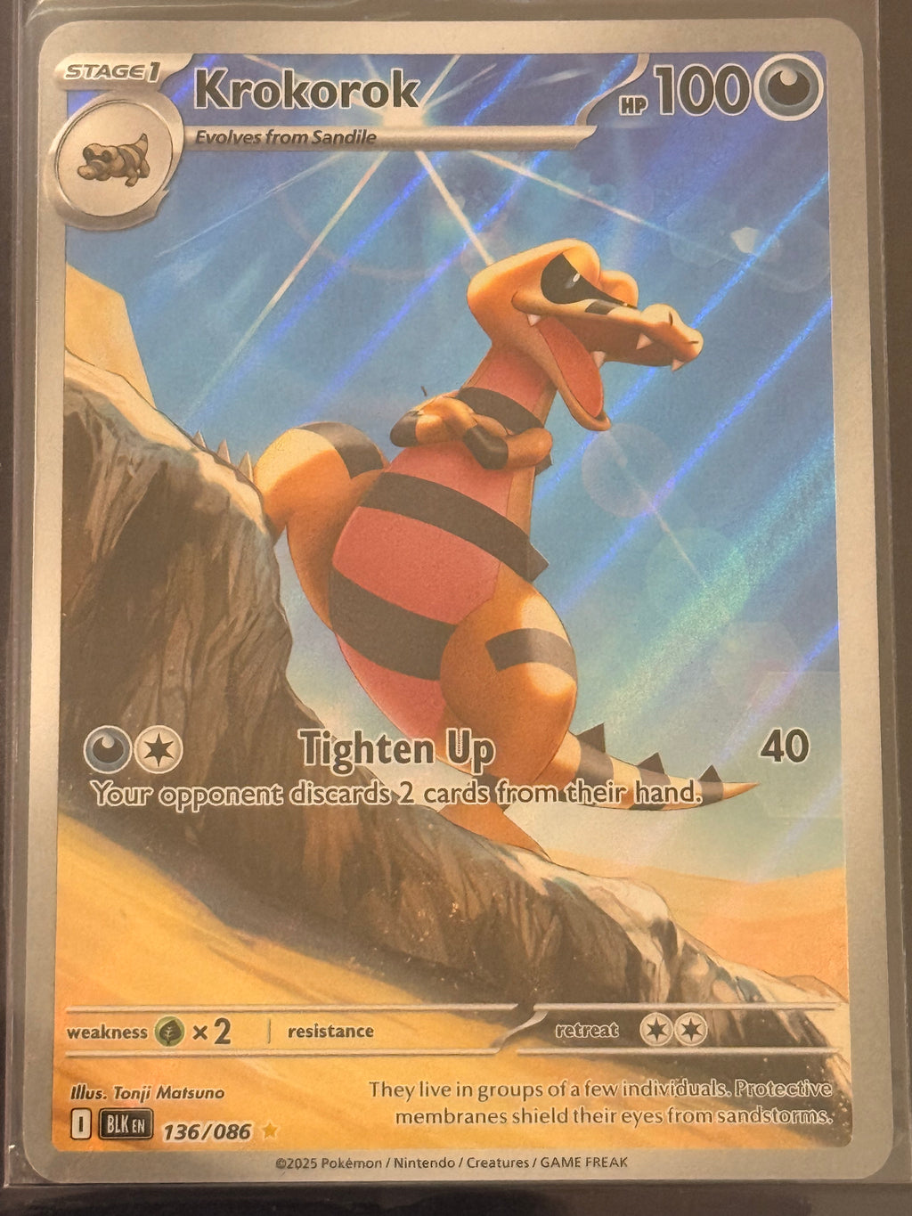 Krokorok #136/086 Illustration Rare Black Bolt